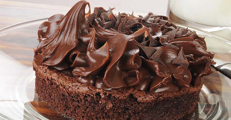 Chocolate Fudge Cake Fine Zeelandia